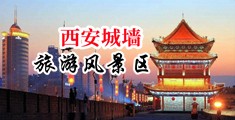 大浪屌插逼中国陕西-西安城墙旅游风景区